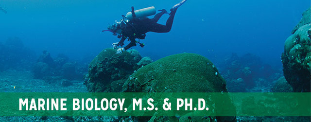 getting my Ph.D in marine biology