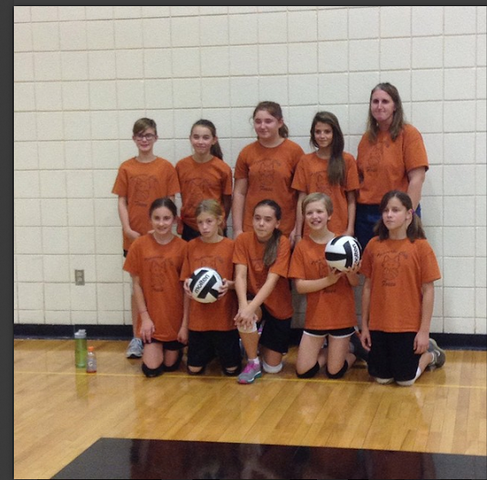 Greenspire Volleyball