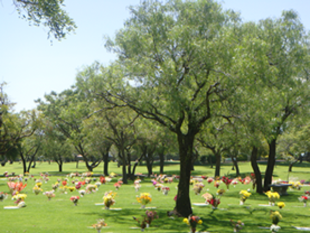 Muerte de mi Abuela.