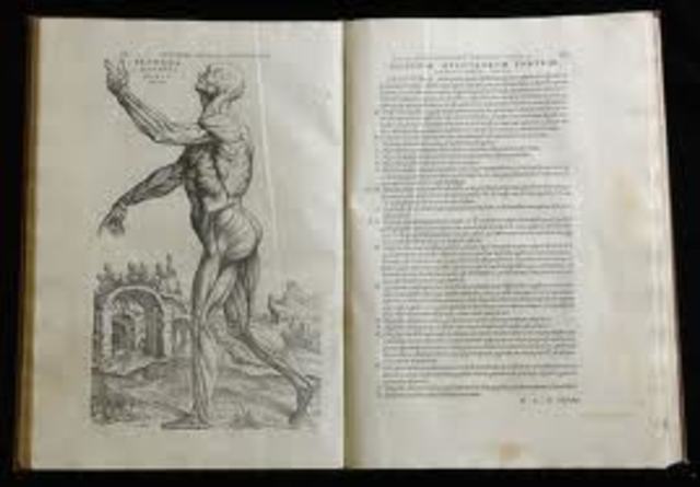 1543: Andreas Vesalius Publishes On the Fabric of the Human Body