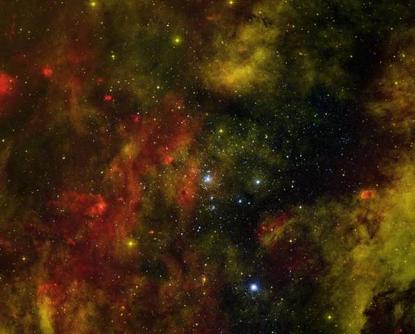 Звездное скопление Лебедь OB2