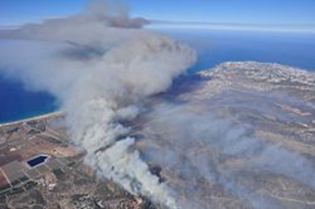 השריפה בכרמל