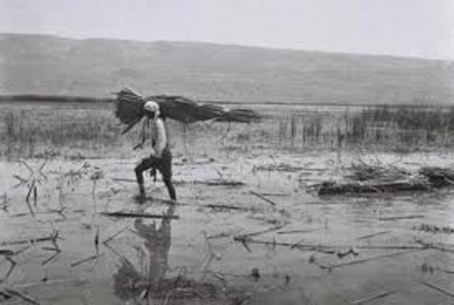 ייבוש החולה