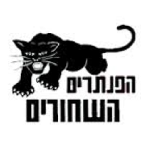 הפנתרים השחורים