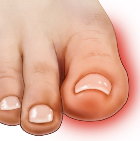 Tet- A Vietnamese New Year