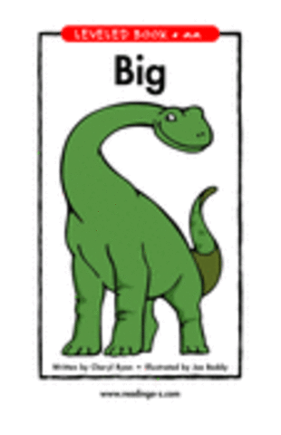 Literacy in the Second Grade