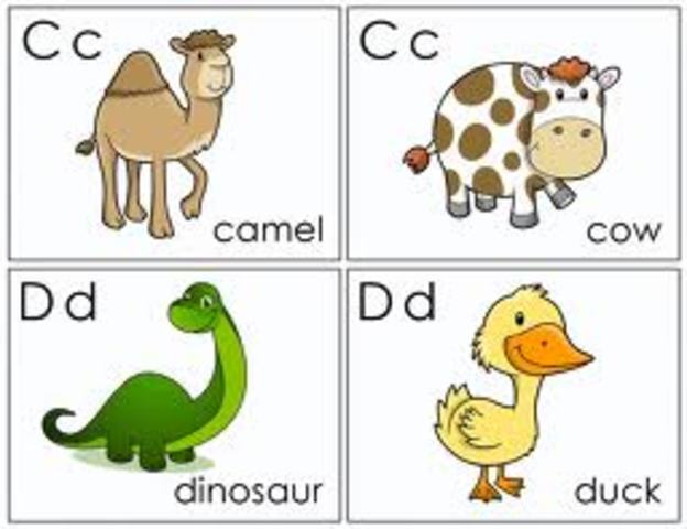 Literacy with Flash Cards