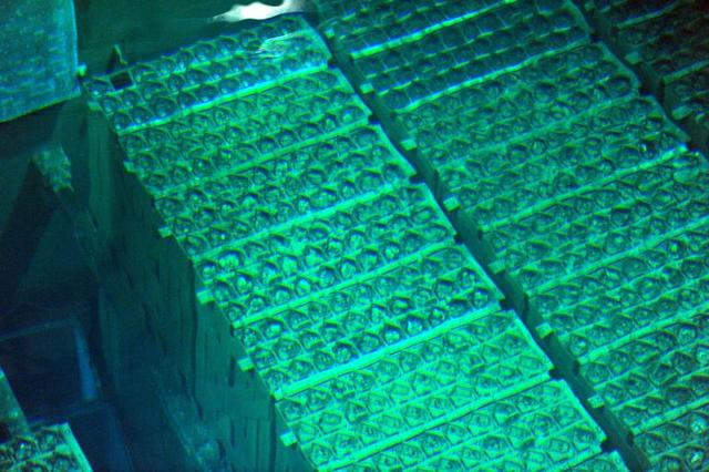 First Accident, Fuel Rods