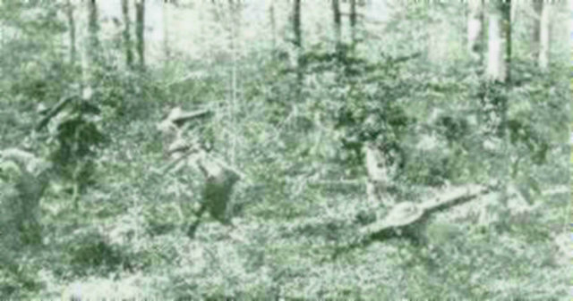 Battle of the Argonne Forest