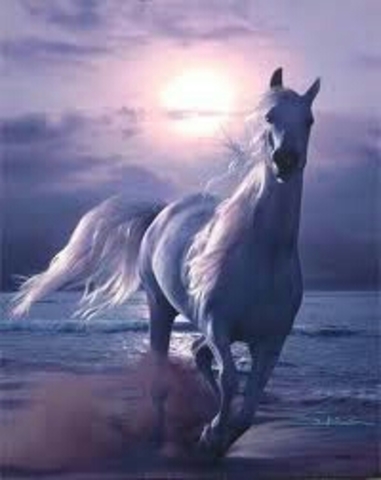 evolucion de windows 1987