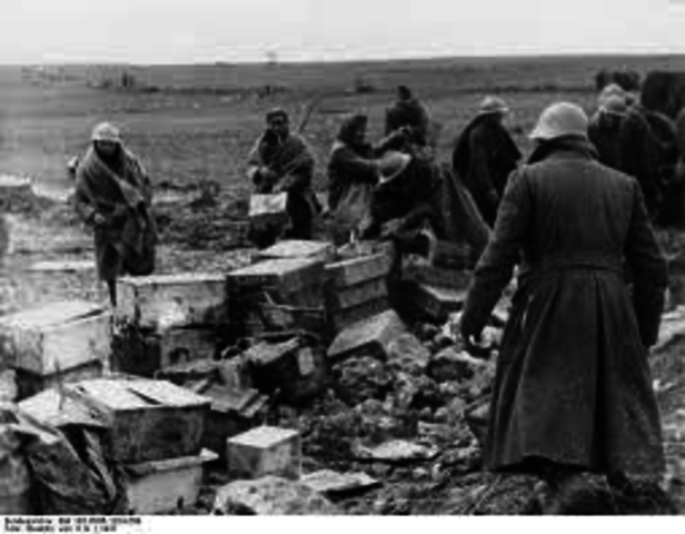 The Guadalajara Campaign