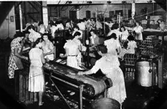 Labour Charter promises to "liberate" women from the work force