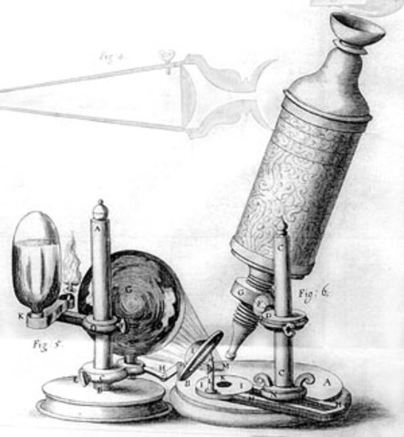 Francis Bacon uses microscope to discover plague fleas