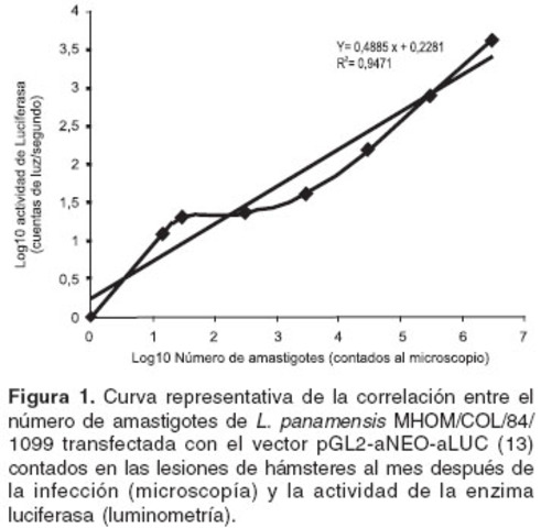 La ecuación de la Curva