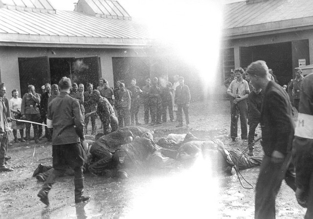 More Jewish are being Murdered