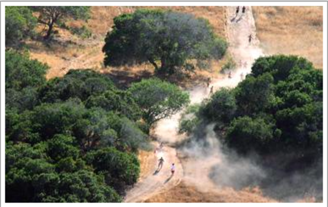 The Inaugural CrossFit Games