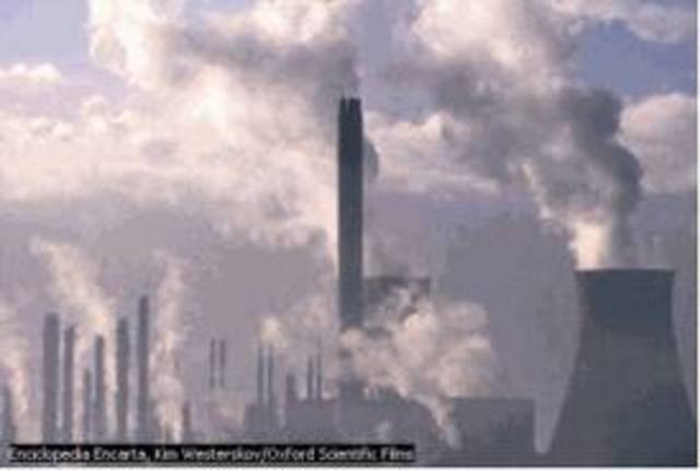 The Environmental Inpact In guatemala