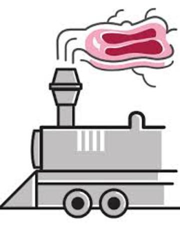 Amtrak's Beef-powered Train