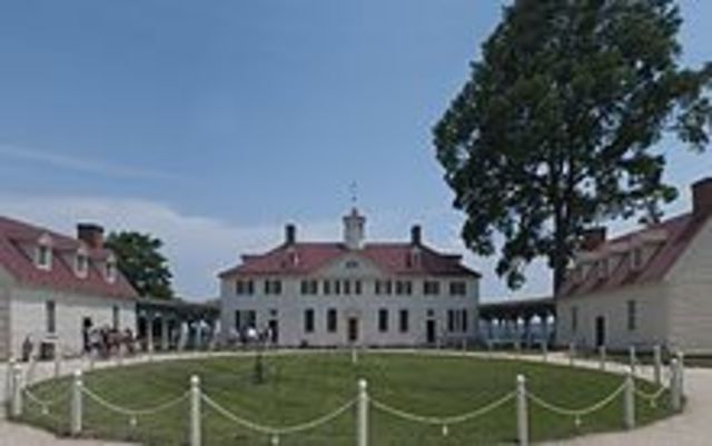 Switched Mount Vernon's Crop to Wheat