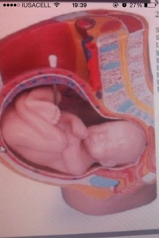 34 SEMANAS DE EMBARAZO