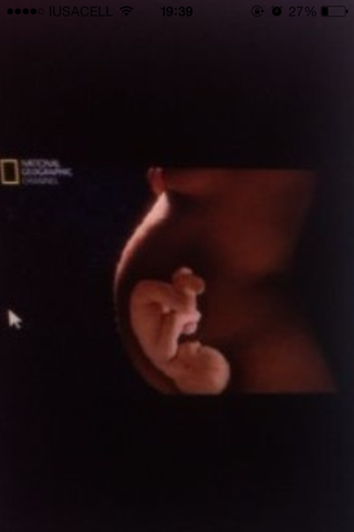 24 SEP -15 OCT= DE LA SEMANA 36-39