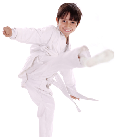 started karate