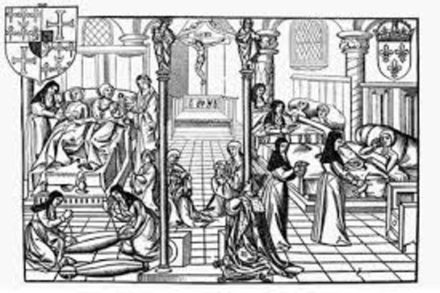 Human anotomical studies allowed