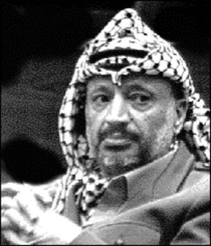 Formation of the PLO