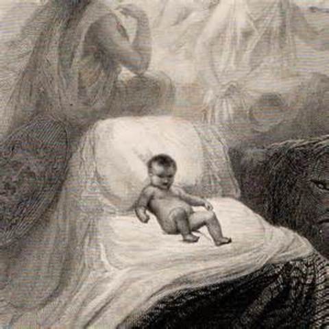 Napoleon Birth