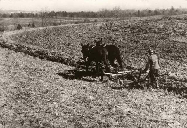 Farming - Environment