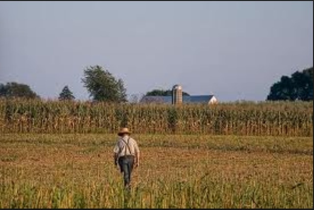 The Blessing of Hank