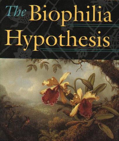 Biophilia Hypothesis (research)