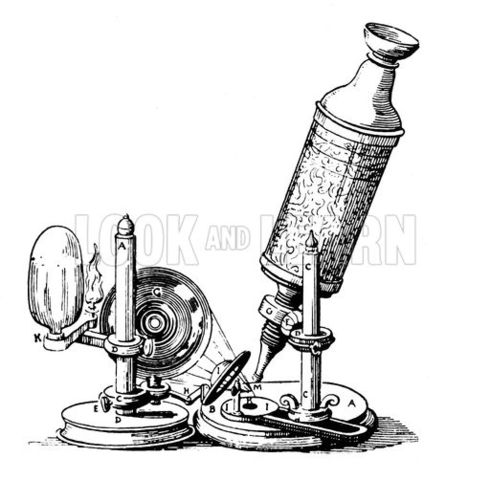 Le microscope de Robert Hooke