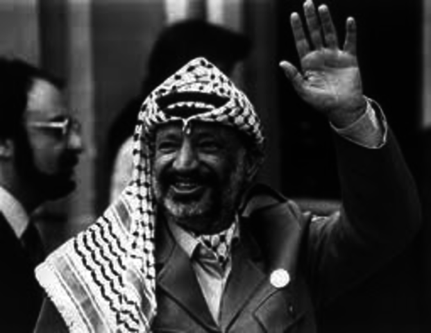 formation of the PLO