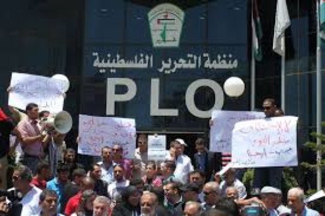 the organization of PLO