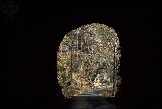 Thomas Walker enters Kentucky.