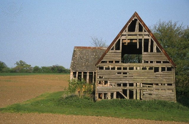 James Harrod leads settlers in