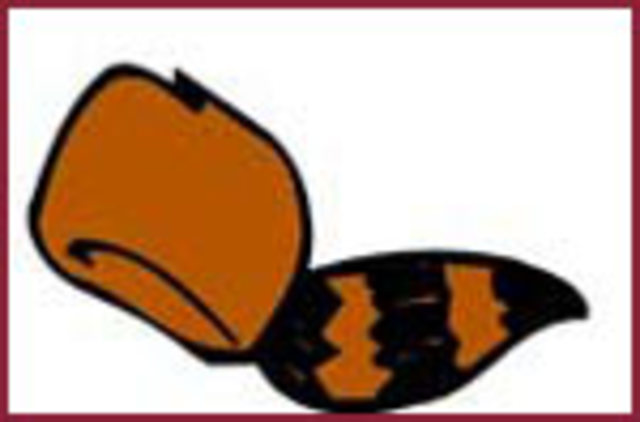 Daniel Boone cut down Wilderness Road