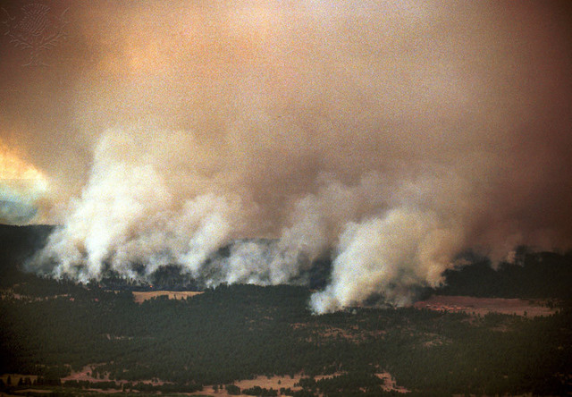 Hayman Fire
