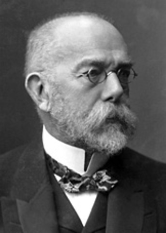Robert Koch, discovered the pathogens.