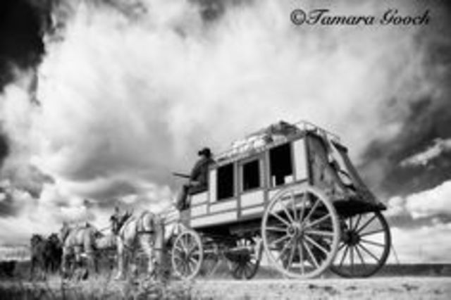 Stage Coaches were operating from Columbia River towns such as Umatilla and Wallula, to inland towns, such as Walla Walla and Lewiston