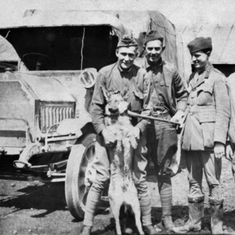 Disney is sent to France