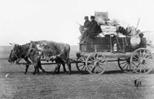 Science/Technology--Transportation (Stagecoach)