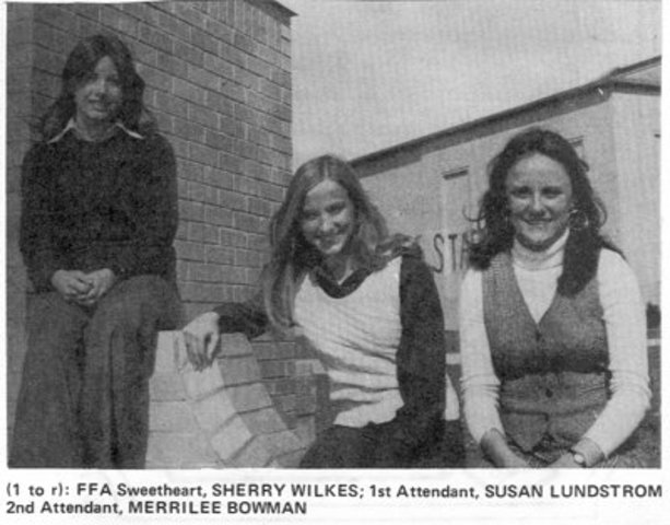 Here comes the girls