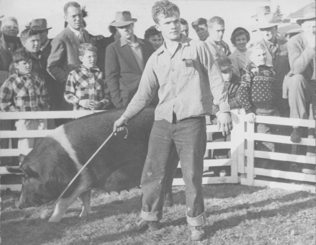 Future Farmers for boys was establshed