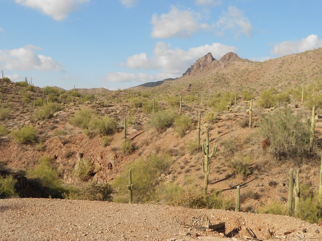 Getting lost in the Dessert