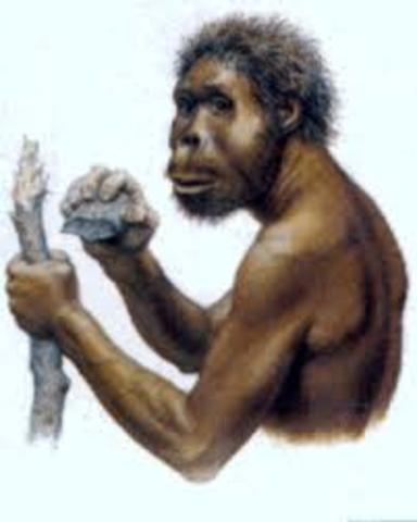 Homo rudolfensis