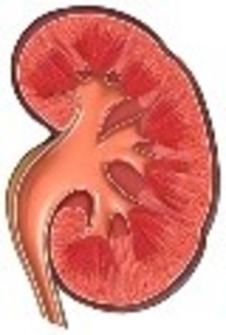 I had kidney surgery