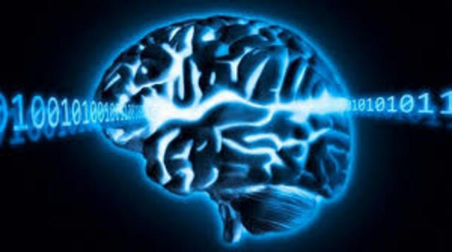 Primer trabajo de campo en la inteligencia artificial