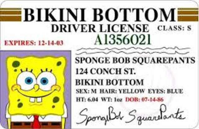 Drivers License